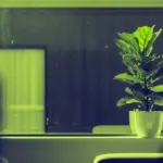 Rendre un logement lumineux : comment y parvenir en 2026 ?
