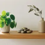 Aménagement Feng Shui : comment harmoniser son intérieur